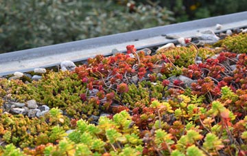 the cost of Chirk Green green roof installation