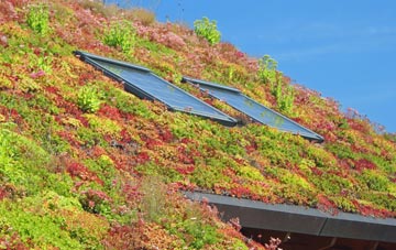 Chirk Green living roof systems