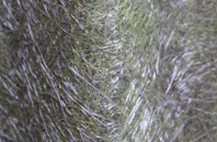 Chirk Green fibreglass roof work